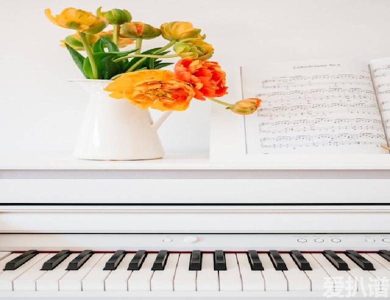 扒谱软件中文免费版哪款好,自动识别音乐的扒谱软件,安卓扒谱软件