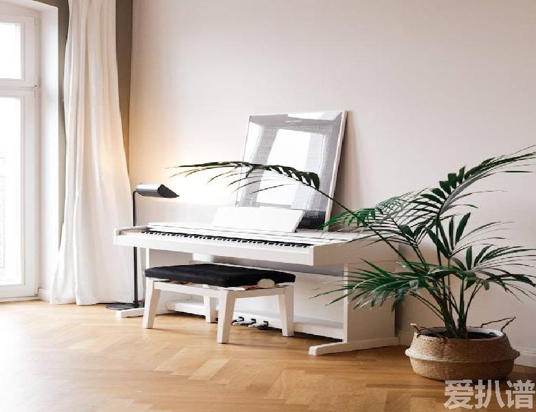 钢琴扒谱软件,人生分离在线免费,人生分离伴奏背景音提取