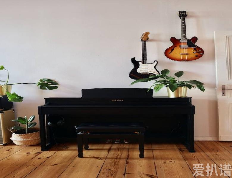 扒谱怎么学,音频转乐谱软件,人生分离伴奏背景音提取